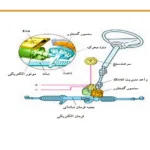 بررسی اجزای فرمان برقی