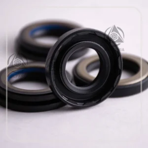 TRW Pride Steering Box Seal Set (Korean) golpania.com (2)